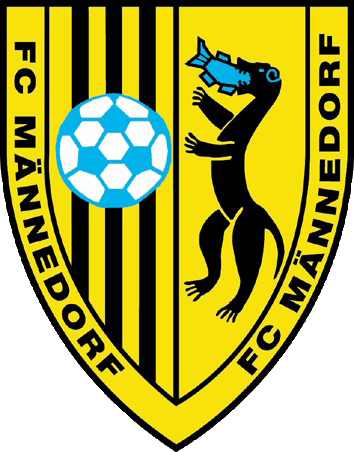 Schüeli Fussballhallenturnier FC Männedorf